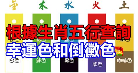 五行幸運色|五行命理！12生肖的幸運數字和顏色